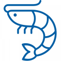 Креветки для ресторанов Lucky Fish Креветки Lucky Fish