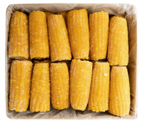 Кукуруза в початке